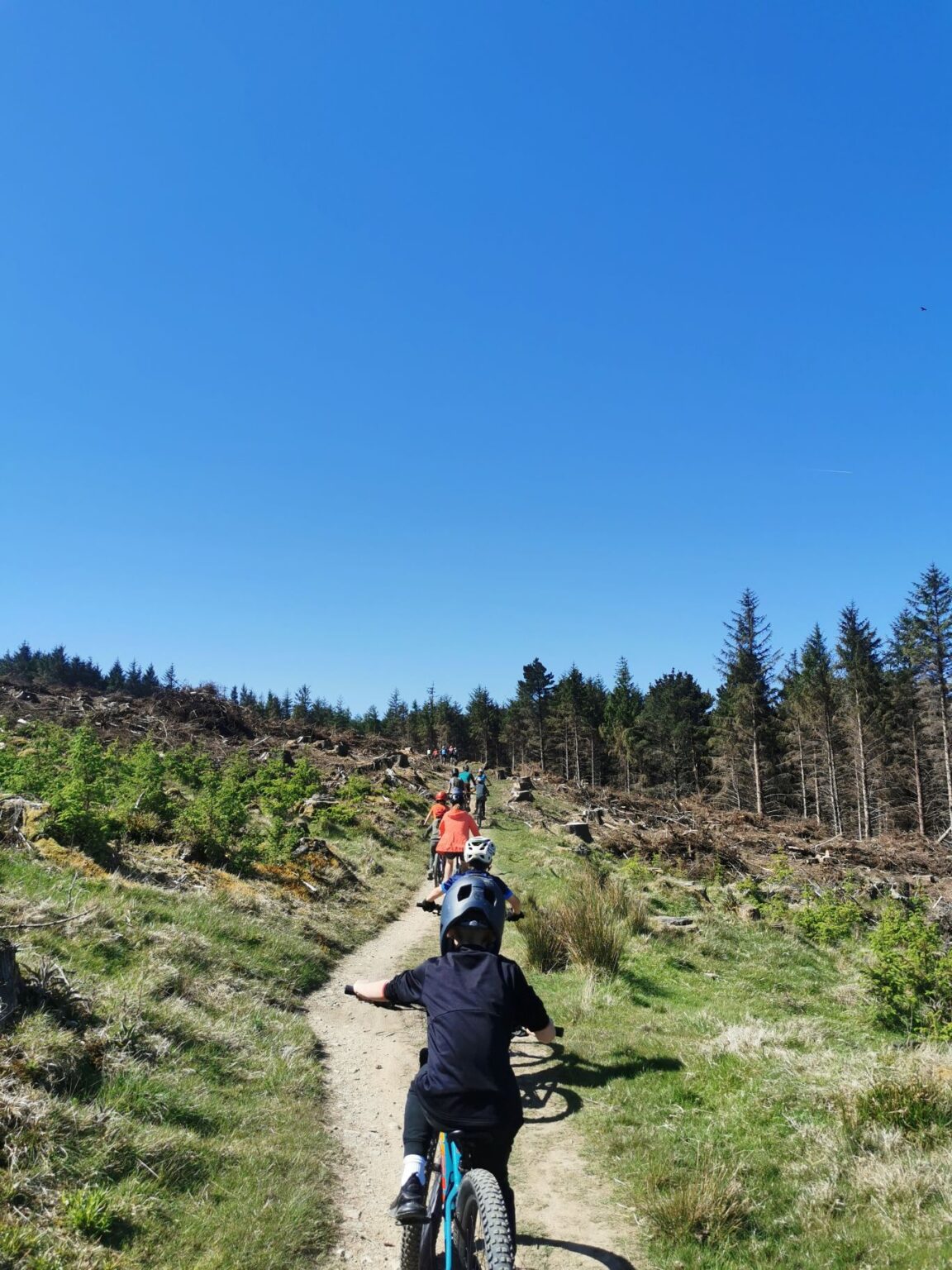 young boys riding mountain bike in a forest arae with green trees