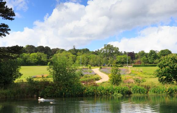 Cabinteely park stream