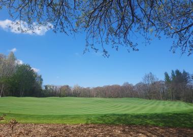 Putting Green Marlay Park