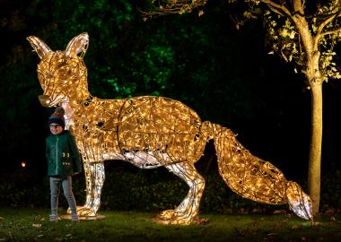 Wonderlights Marlay Park