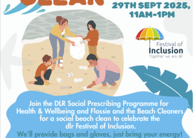 Sandycove Beach Clean