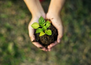 Gardening Skills For Life
