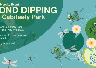 Pond Dipping Cabinteely 