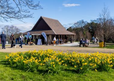 A picture of the Blackrock Tearooms with a blue sky and yellow flowers 