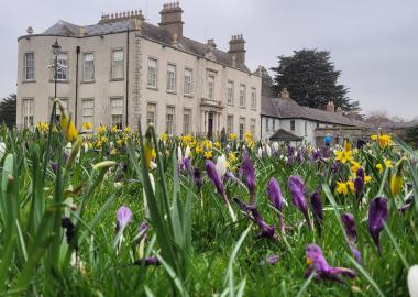 A picture of Marlay Park House with flowers in the foreground