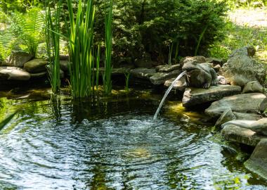 A pond with a water fountain