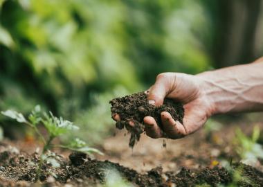 A close up pictures of a persons hand in the earth with a handful of clay 
