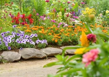 A flower bed. 