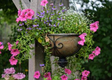 A big flower pot with pink and purple flowers