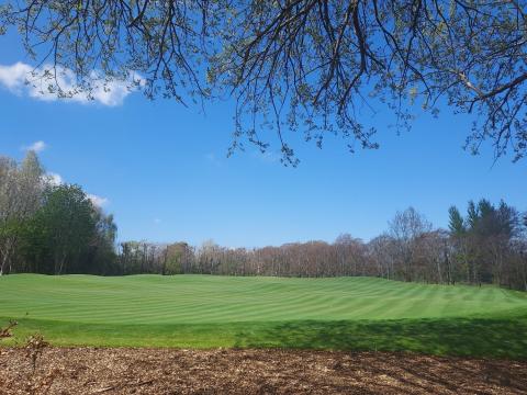 Putting Green Marlay Park