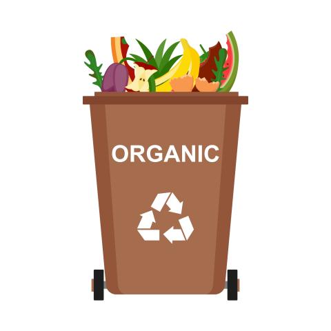 brown bin