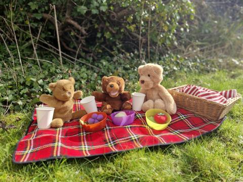 Teddy Bears’ Picnic with Aisling Smith