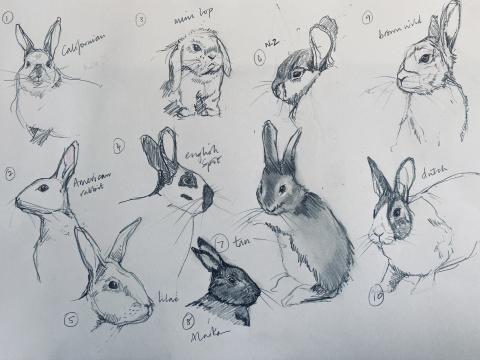 Sketching