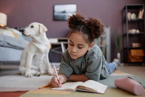 Competition! Write a Summer Story
