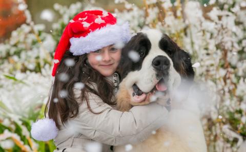 Christmas 2025 Launch