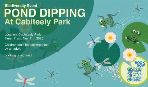 Pond Dipping Cabinteely 