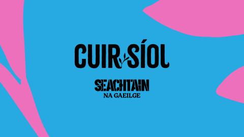Cuir Soil irish writing on blue and pink background