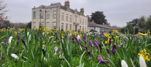 A picture of Marlay Park House with flowers in the foreground