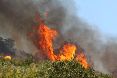 Fire