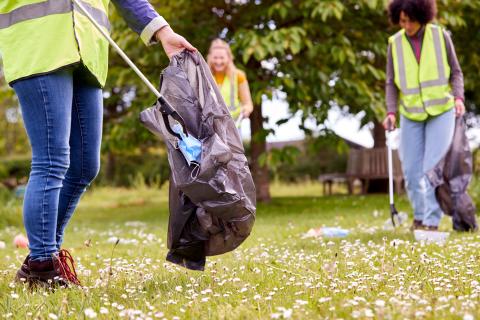 litter management 