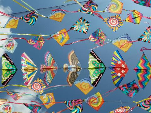 GC Kite workshop (Credit Agnieszka Ziomek - Unsplash.com)