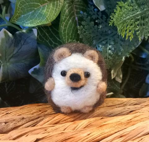Mid-term Fun:  Felting with artist Jenni Kilgallon in Deansgrange Library 