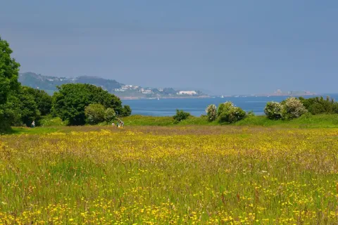 DLR New Biodiversity Plan Online Information Event