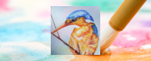 Watercolour Kingfisher