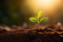 Seed Club