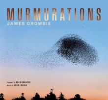 Biodiversity Week: Murmurations