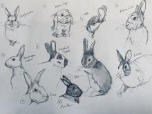 Sketching