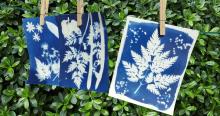 Cyanotype photograhy workshop