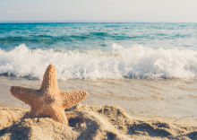 Beach Finds Treasure Hunt