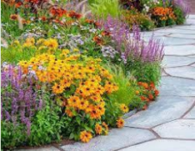 Unwind with Plants: Garden Design with Marie Hirst