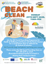 Sandycove Beach Clean