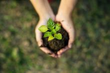 Gardening Skills For Life