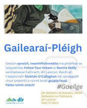 Gailearaí-Pléigh at dlr LexIcon