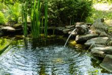 A pond with a water fountain