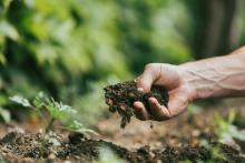 A close up pictures of a persons hand in the earth with a handful of clay 