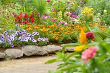 A flower bed. 