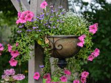 A big flower pot with pink and purple flowers