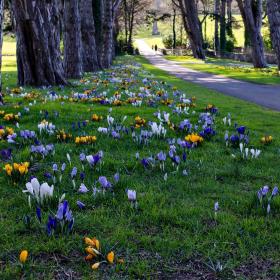 cabinteely_park_dublin