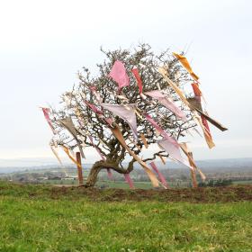 a leafless hawthorn tree is positioned in the centre of the photograph. It has lots of pink and yellow coloured cloth rags tied to it. The tree is windblown and leans to the right of the picture frame. The foreground of the image shows green grass; there is a wire fence behind the tree and in the distance are hills, farmland and some houses