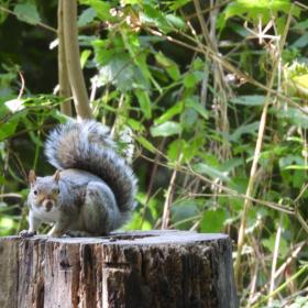 Dodder Valley Park