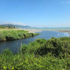 Shanganagh River