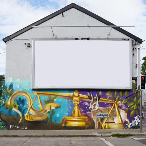 Peachzz mural Sallynoggin