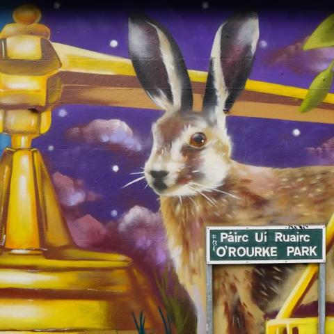 Peachzz mural Sallynoggin