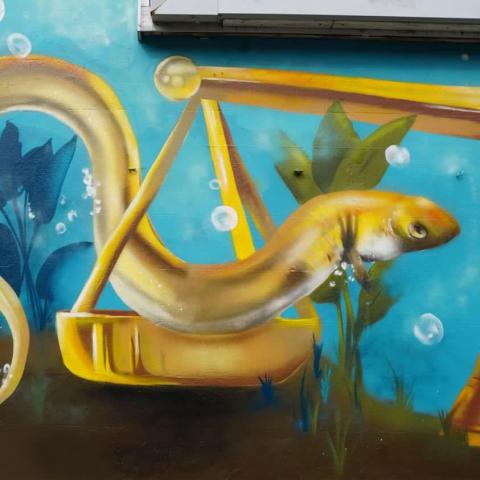 Peachzz mural Sallynoggin