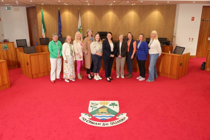 Members of the DLR Women's Committee in the Council Chamber at the launch of the Committee