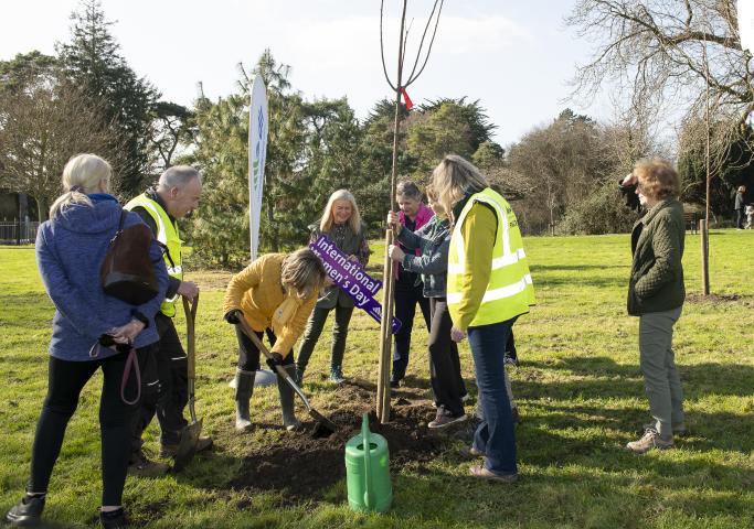 DLR Women's Committee taking part in tree planting for International Women's Day